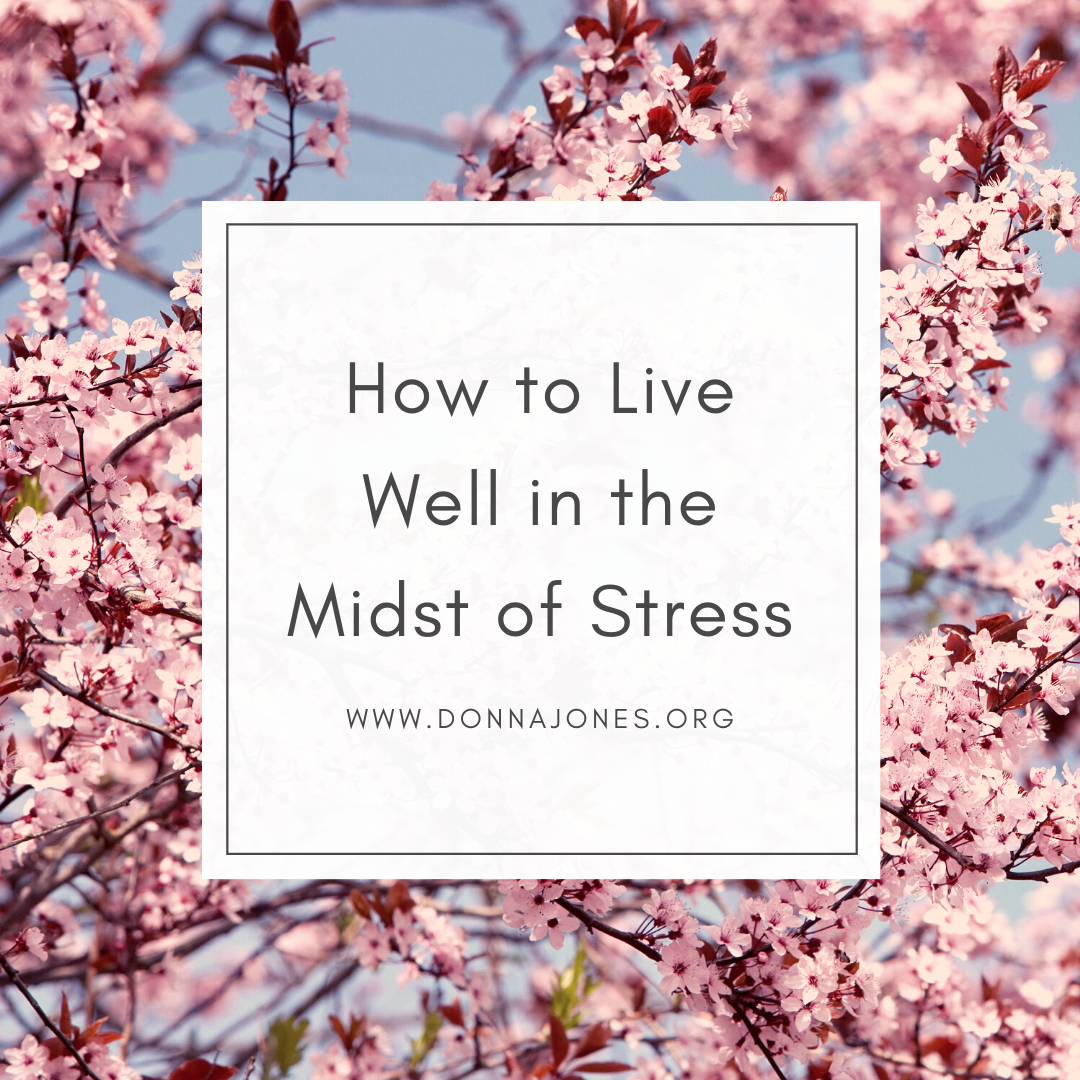 How to Live Well in the Midst of Stress