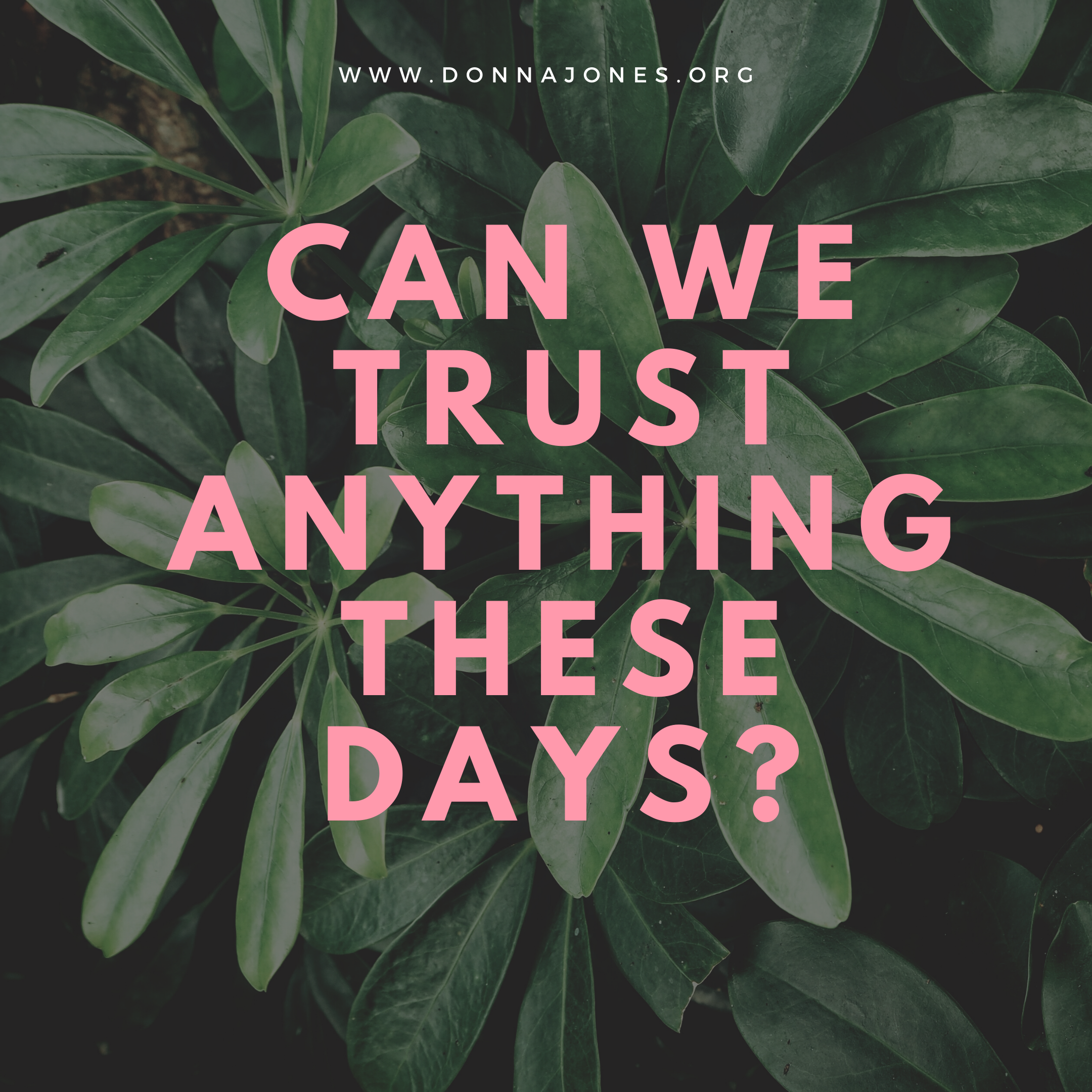 Can We Trust Anything These Days?