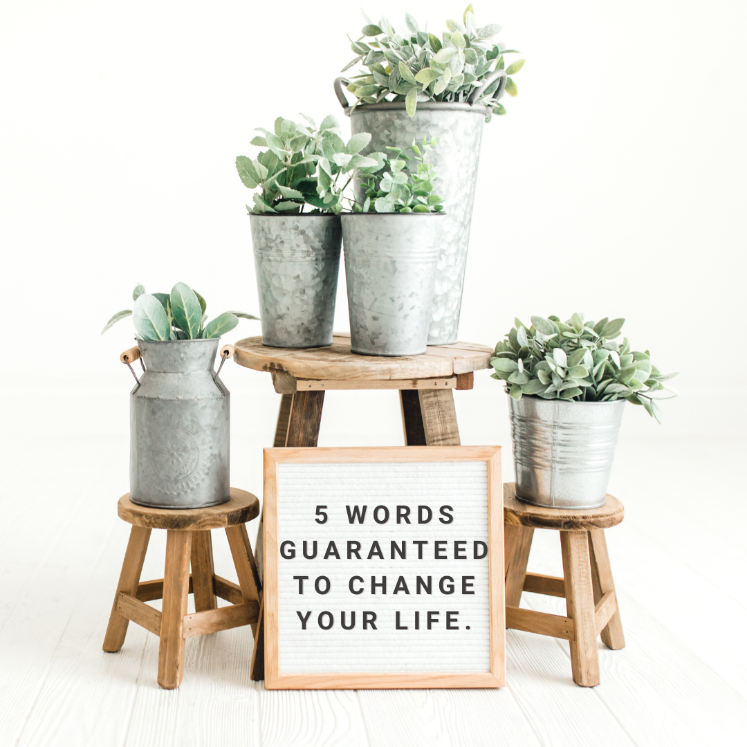 5 Words Guaranteed to Change Your Life