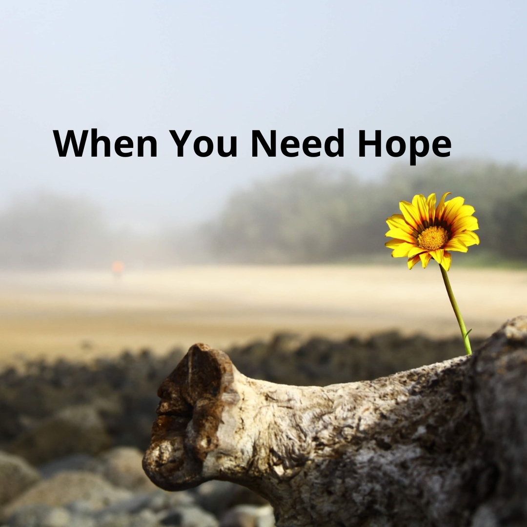 You Need Hope for Something,  Don’t You?